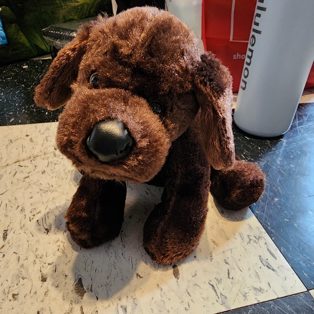 Webkinz Chocolate Lab
